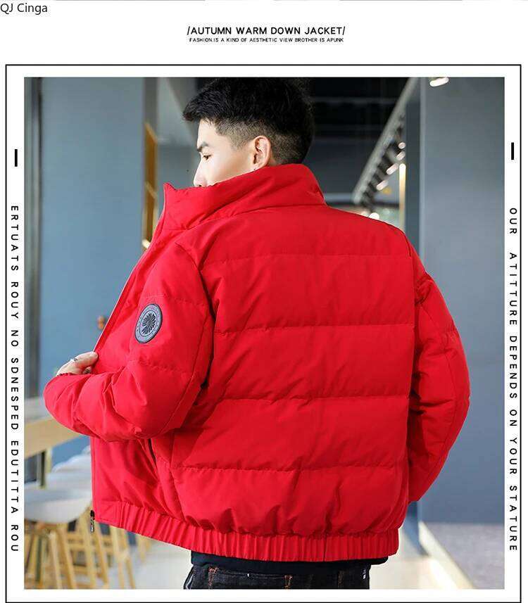 Red Men's Long-sleeved Stand-up Collar Down Jacket, New Winter Coat, Asian Sizes L-8XL, Beige, Gray, Black Parkas