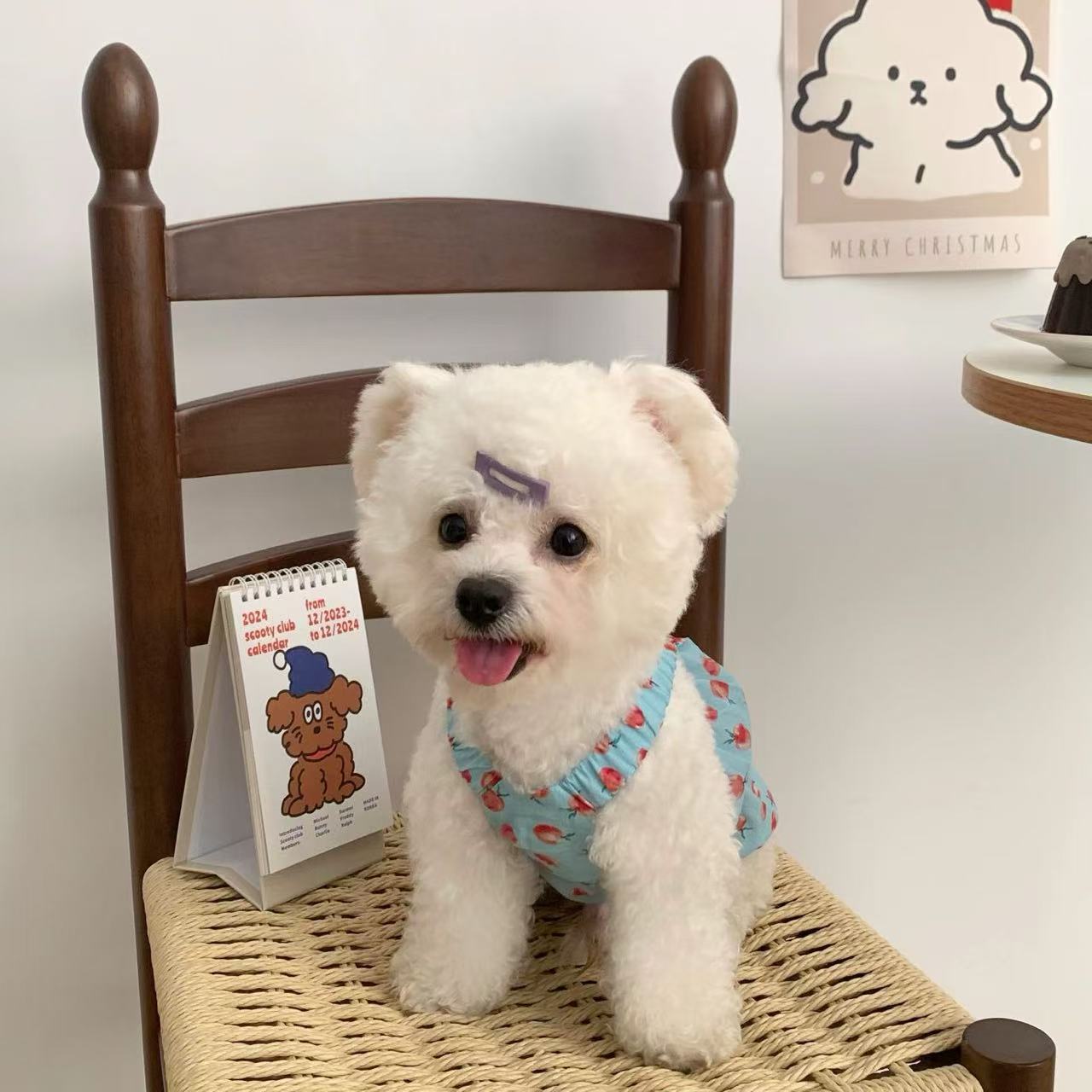 T917 Summer dog clothes 2025 new small dog puppy small milk dog summer thin breathable pumpkin skirt