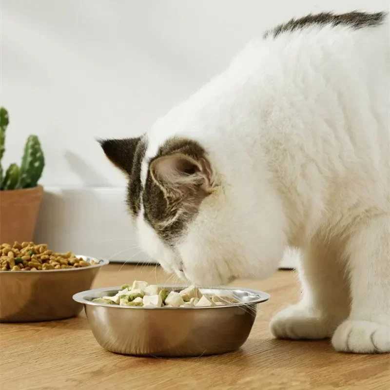 New Pet Supplies Anti-slip Stainless Steel Bowl for Pet Dog Cat Bowl Feeder with Wood Stand Tilt Dog Food Bowl Cat Accessories Y250806