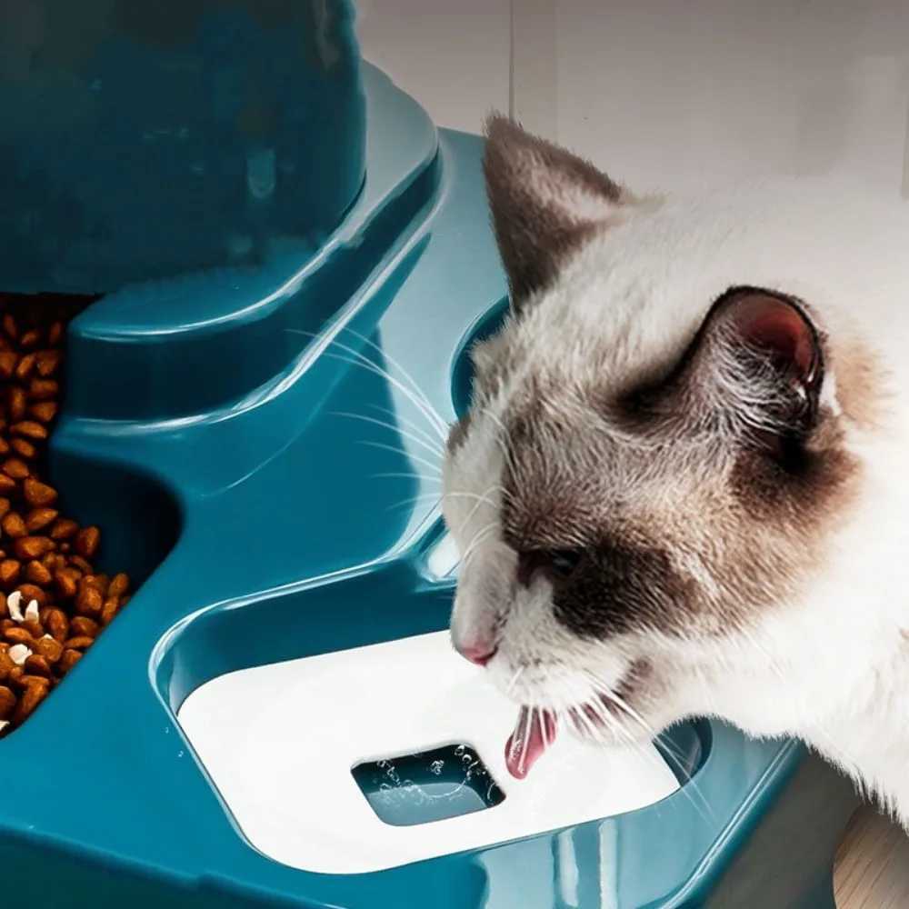 Large Capacity Pet Food Bowl Automatic Cat Feeder Dog Bowl Foodstuff Water Bottle Wet and Dry Storage Dispenser Pet Supplies Y250806