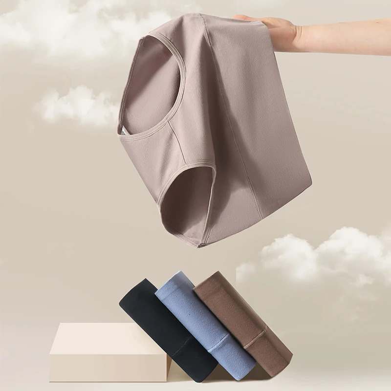 4Pcs Cotton Women Panties High Waist Body Shaper Underwear Breathable Girls Briefs Solid Plus Size Panty Slimming Female 250807