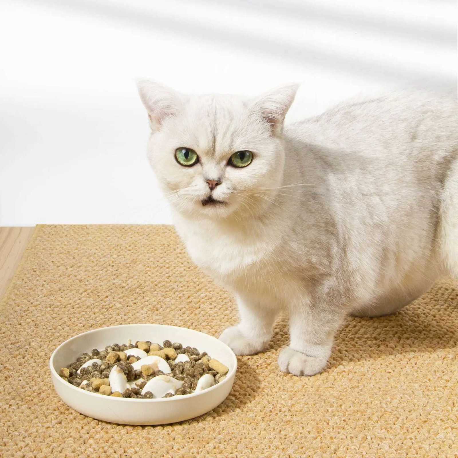 Slow Food for Cats and Dogs Pet Healthy Anti-Chinging Rice Cat Bowl Slow Food Dog Bowl for Cats and Dogs Pet Supplies Y250806