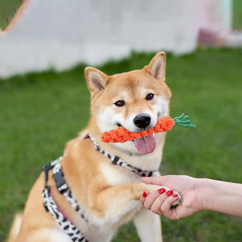 Carrot Dog Bite Rope Pet Dog Toy Safe Durable Braided Bite Dog Chew Toys Resistant Puppy Molar Cleaning Teeth Cotton Rope 250804