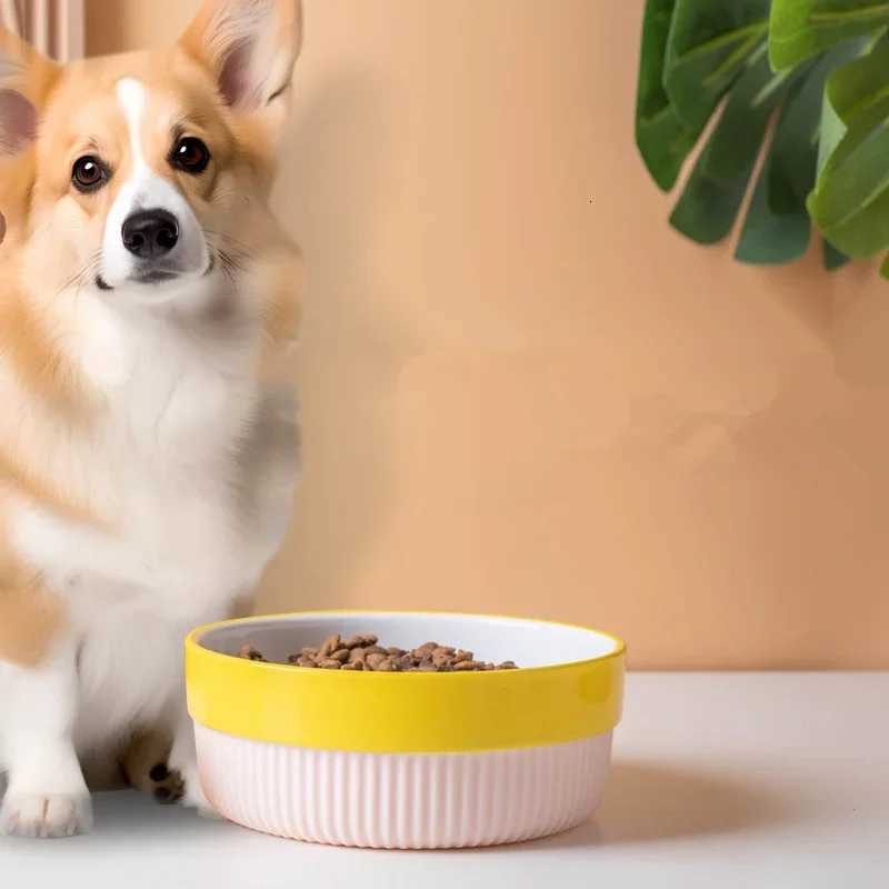 Fashion Macron Color Ceramic Dog Bowl with Anti Slip Silicone Base Easy To Clean Pet Feeding Accessories Cat Supplies Y250806