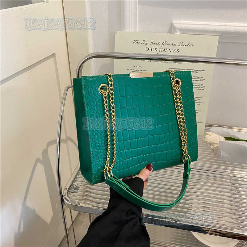 Trendy Small Bag for Women 2022 New Fashion Chain Crossbody Bag Style Celebrity Shoulder Bag H250806