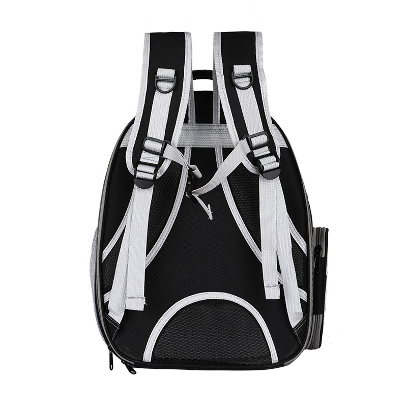 Beni Pet Breathable Expandable Pet Carrier: Portable Clear Cat Bag & Backpack for Outings