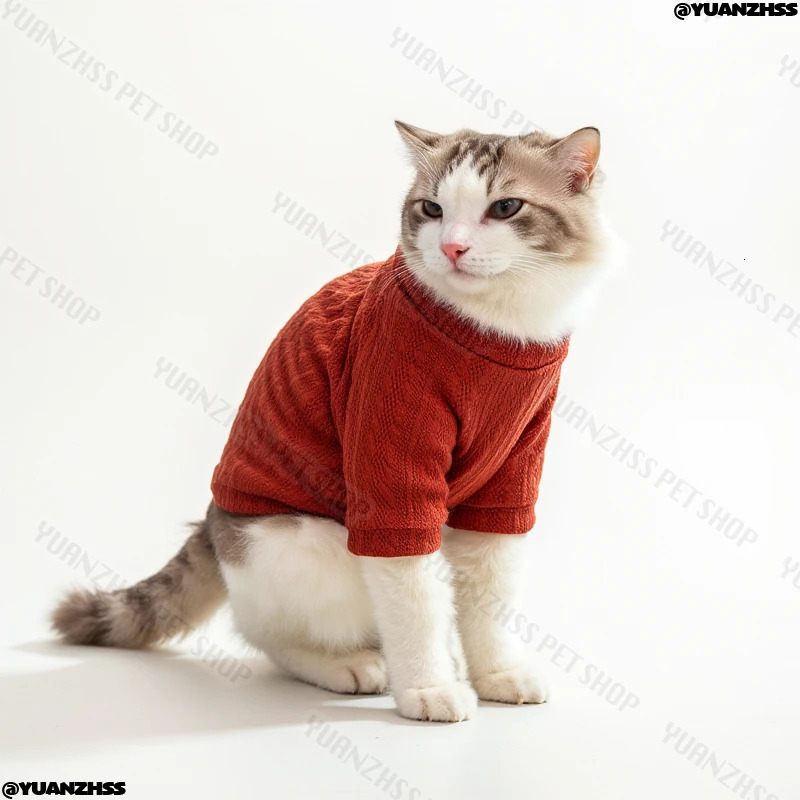 Lucky Bear Puppy Sweater - Warm Comfy Home Clothes for Dogs | Summer AC Shirts for Shih Tzu Chihuahua | Cute Pet Pajamas 250806 - view 7