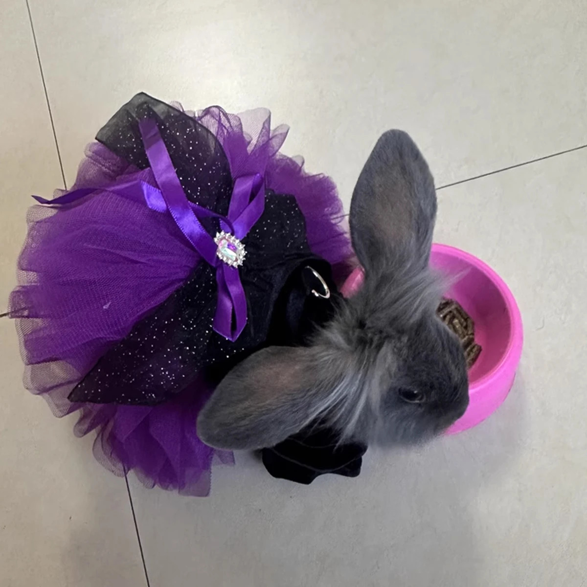 Halloween Pet Clothes Dog Cat Autumn Black Purple Velvet Traction Button Dress 250805