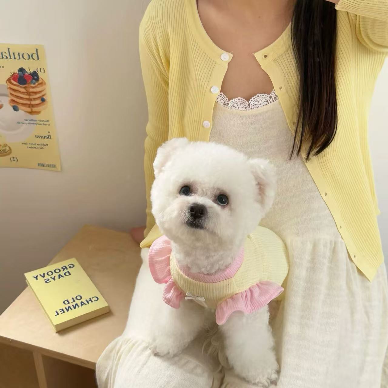 T912 Dog clothes 2025 new summer thin cute small puppy Bichon Frise puppy cat
