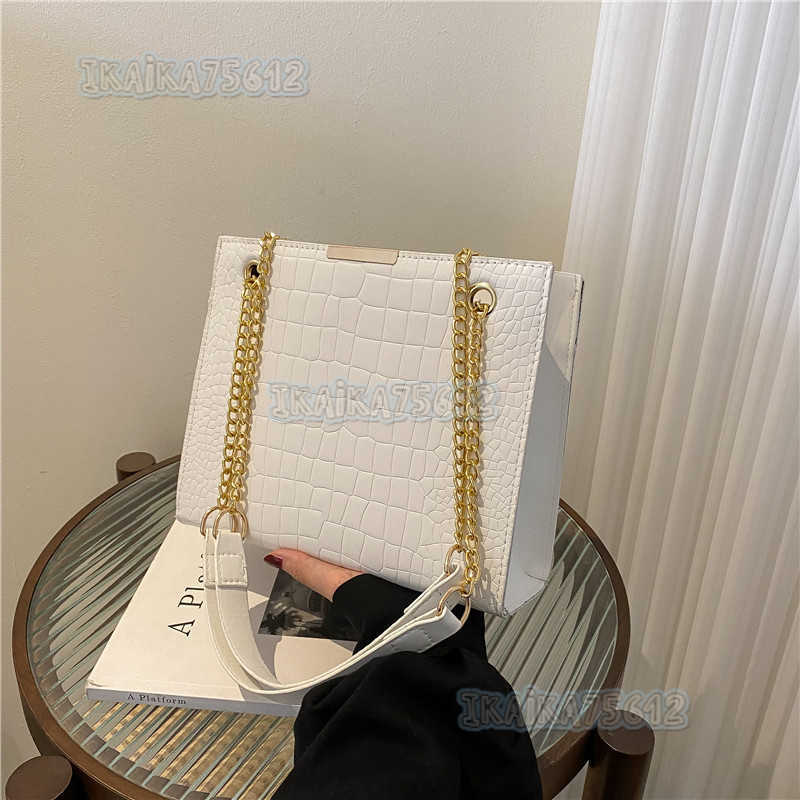 Trendy Small Bag for Women 2022 New Fashion Chain Crossbody Bag Style Celebrity Shoulder Bag H250806