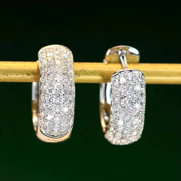 Made in China High End Earring 14k Real Gold with Iced Out 5rows Moissanite Diamond Hoop Earring for Trendy Lady Jewelry