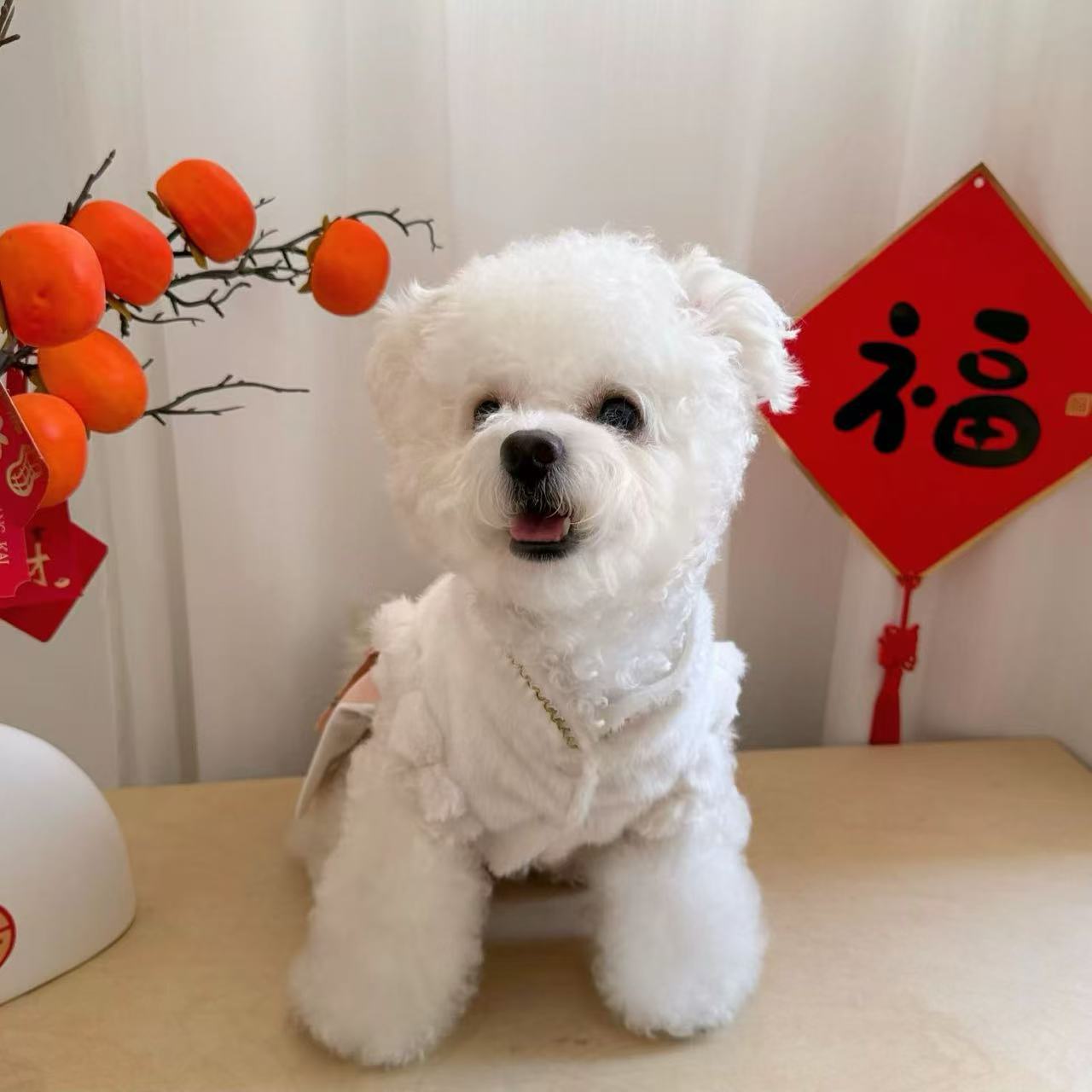 T918 Cat clothes horse face skirt autumn and winter kitten princess skirt New Year winter Chinese style pet puppy New Year Hanfu