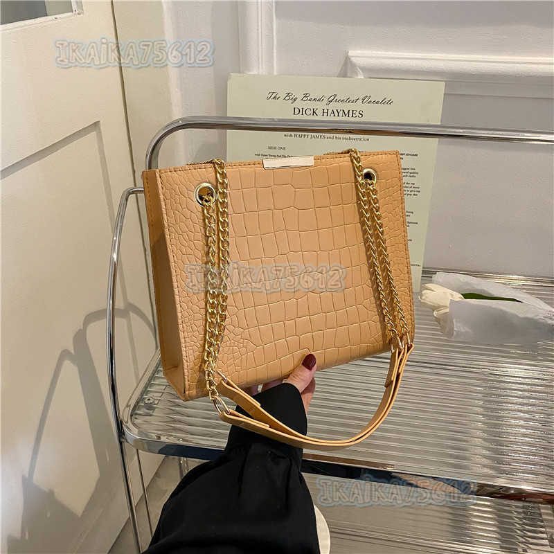Trendy Small Bag for Women 2022 New Fashion Chain Crossbody Bag Style Celebrity Shoulder Bag H250806