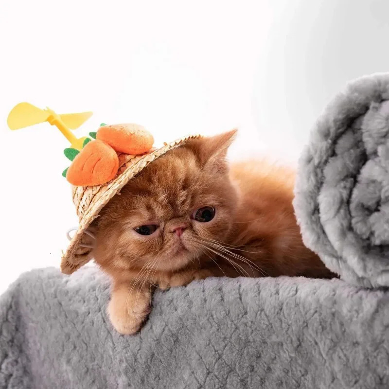 Warm Soft Fuzzy Blankets for Puppy Small Medium Large Dogs Fleece Kitten Cats Plush Throws for Bed Couch Sofa Blanket Supply 250804