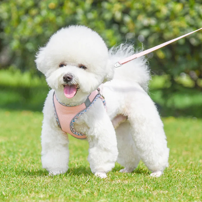 Outdoor Walking Pincher Dog Harness and Leash Set for Small Medium Dogs Chihuahua mascotas Vest Harnesses Pomerian Accessories 250805