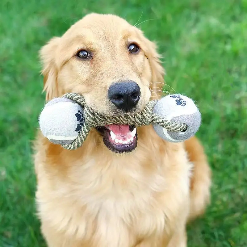 Pets Chew Toy Cotton Rope Tennis Dumbbell Rubbertoy Ball Medium Large Dog Interactive Toy Animal Playing Supplies 250804