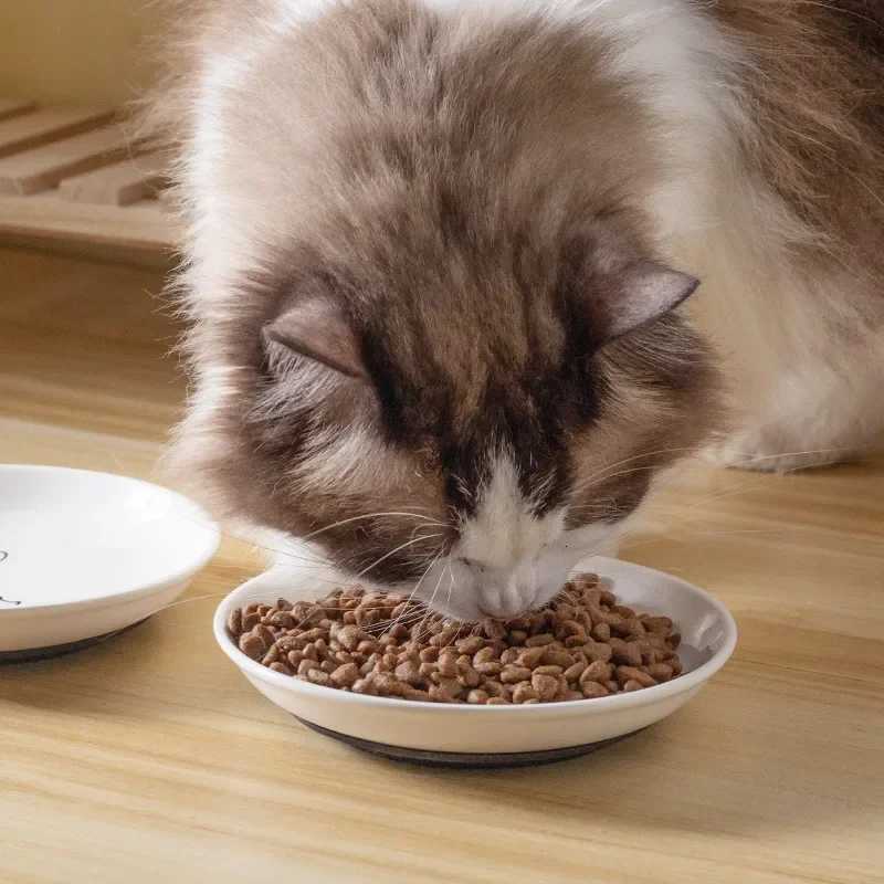 Cute Cat Food Bowl Ceramic Kitten Water Bowl Puppy Feeding Dish with Bowls Ceramic Pet Cat Food Feeding Accessories Y250806
