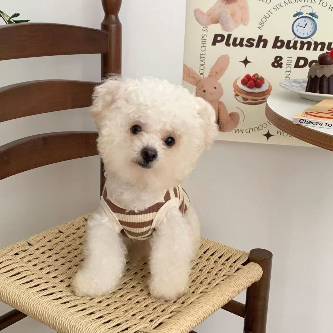 T916 Pet cat and dog clothes anti-hair loss vest spring and summer can be pulled 2025 new small dog puppy summer clothes