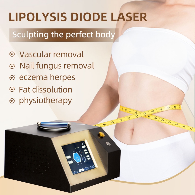 980nm Professional Laser Machine for Endolift Lipolysis Laser Fungus Nails Physiotherapy and Face Skin Laser