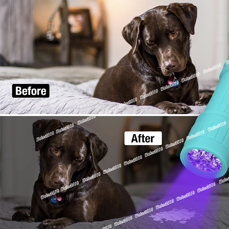 9LED Light Flashlight Portable Zoom Waterproof Flashlight 5 Colors