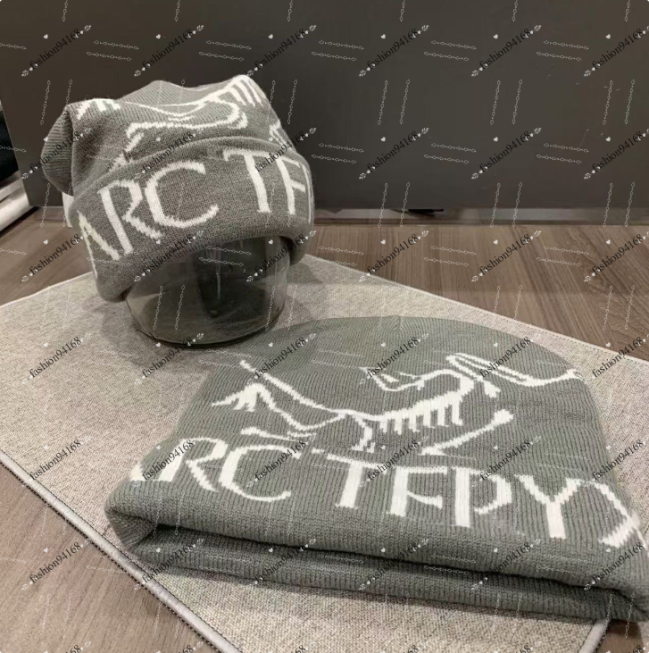 luxury arc cashmere hat embroidered arcient bird pattern street fashion brand beanie groto toque Knitted Hat Outdoor Sports Hat Luxury Warm Fitted Hats