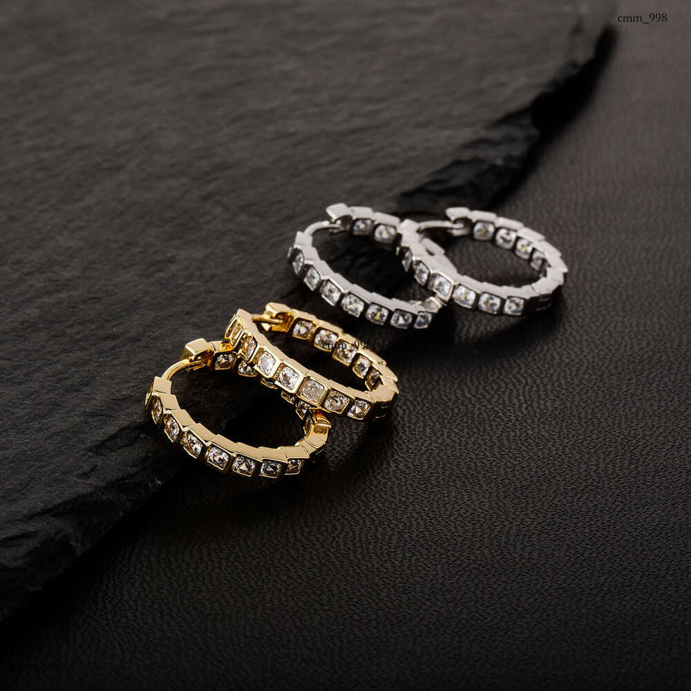 Niche Design Light Zircon Square Hoop Fashion Personality Versatile Internet Celebrity Simple Earrings