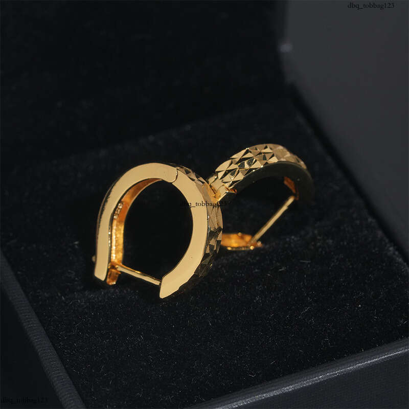 ICED OUT Hip-Hop Sier Inlaid 5A Zircon Trendy Brand Jewelry Hoop Earrings Studs