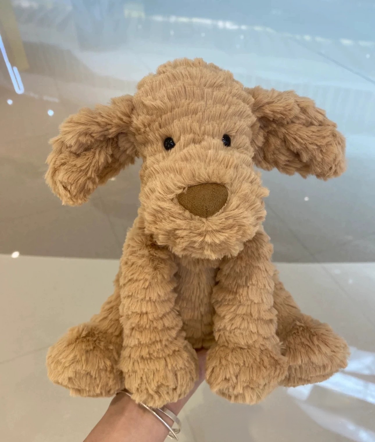 Dolls jellys Cat 2 Fuddlewuddle Puppy Plush Children's plush toys Wave haired Soft Toy dog body pillow Cute Soothing the Doll GiftsFruit mother cat