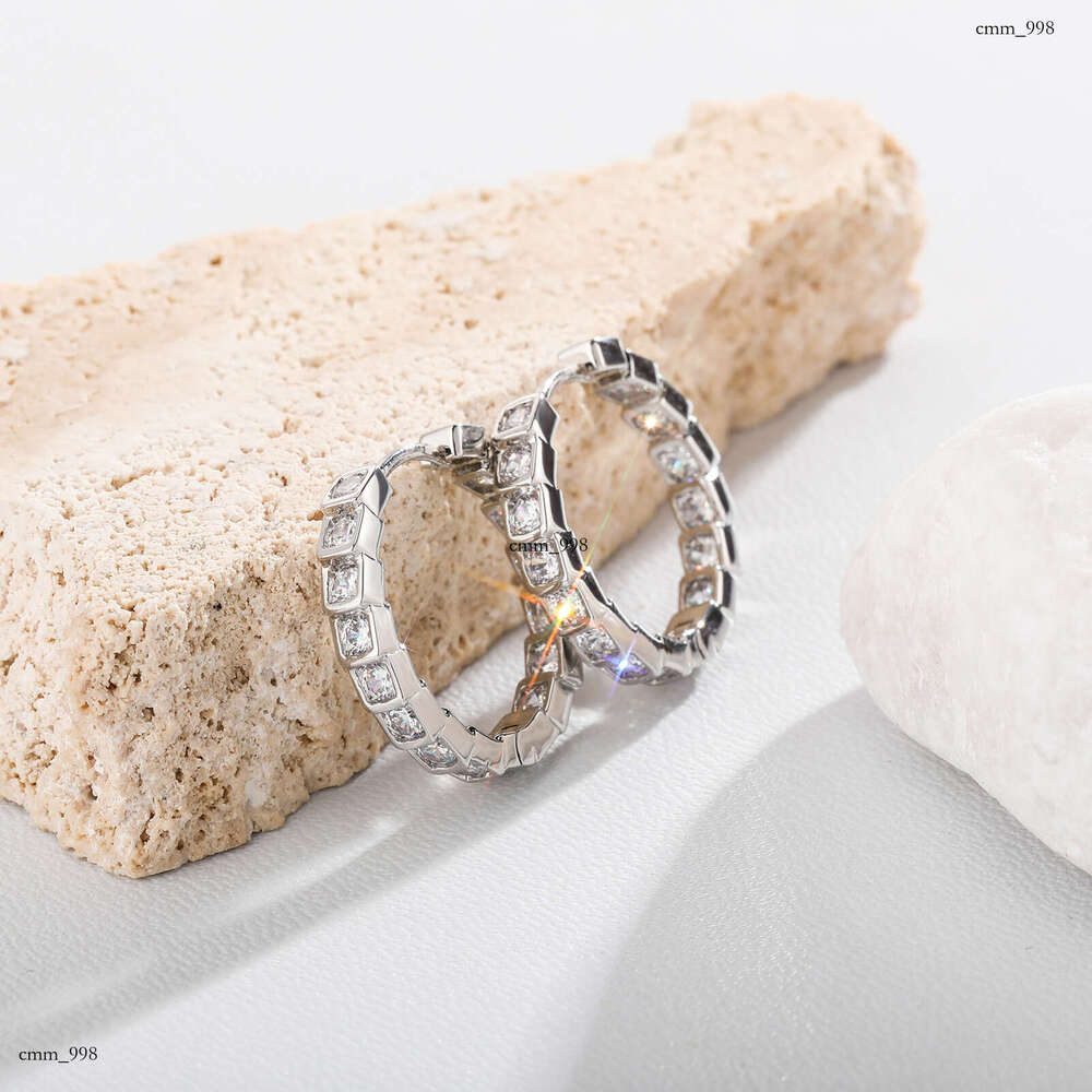 Niche Design Light Zircon Square Hoop Fashion Personality Versatile Internet Celebrity Simple Earrings