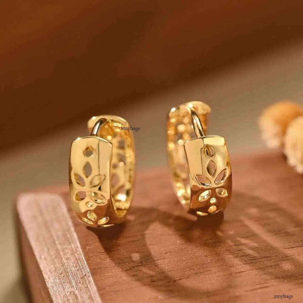 DHcollections High-end Earrings with Elegant Design, and Moon Earrings, Electroplated 14k Gold Zircon Star 99