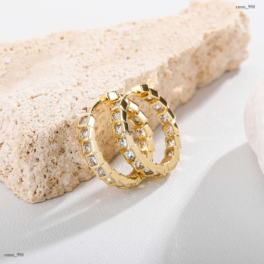 Niche Design Light Zircon Square Hoop Fashion Personality Versatile Internet Celebrity Simple Earrings