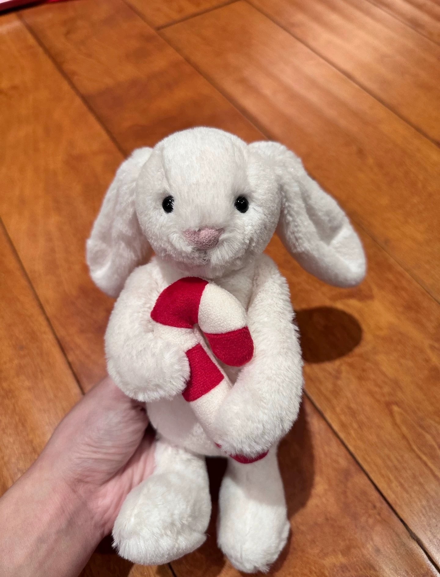 NEW Dolls jellys Cat Bashful Bunny With Tree 2 Plush Children's plush toys Hing crutches Christmas Bonnie Rabbit Soft Toy Cute Soothing the Doll 