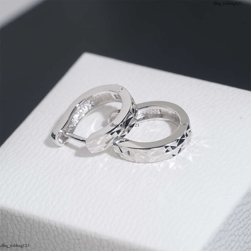 ICED OUT Hip-Hop Sier Inlaid 5A Zircon Trendy Brand Jewelry Hoop Earrings Studs