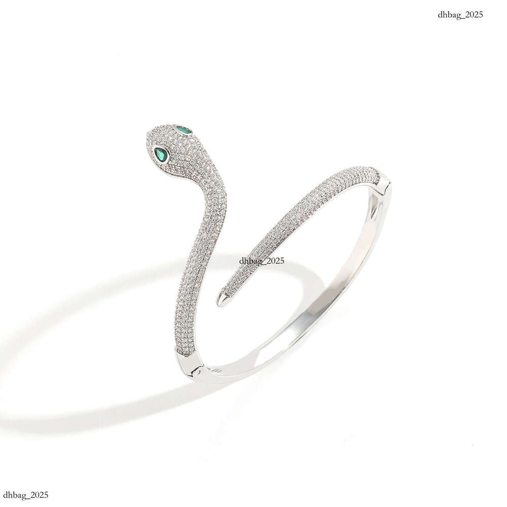 Ins New Snake-Shaped Hip-Hop Micro-Paved Zircon Niche Women's Design High-End Bracelet Trendy Brand Accessory