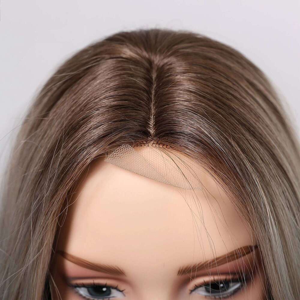 Gray Blonde Synthetic Dark Root Hairline Lace Frontal Straight Layered for Women Ladies Daily Use Wigs Heat Resistant
