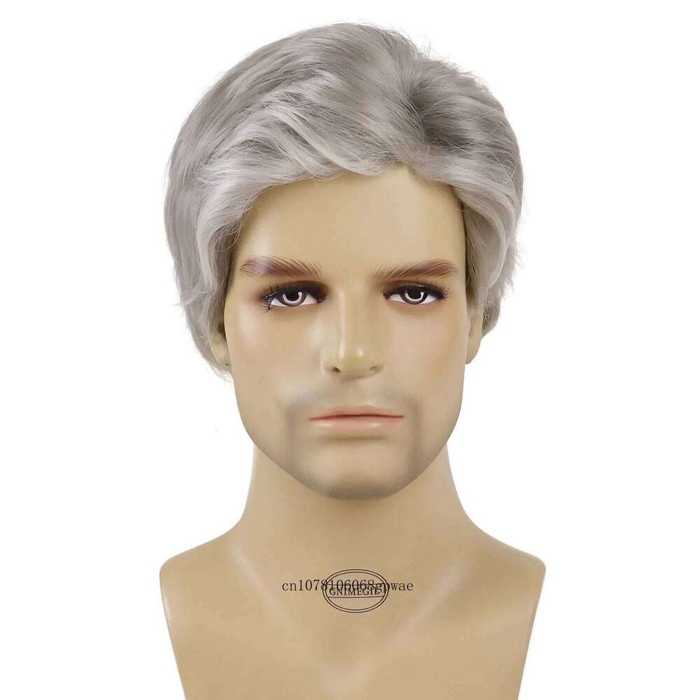 Old Man Synthetic Grey White Wigs for Men Grandpa Daily Party Cosplay Natural Straight Hair Replacement Wig Heat Resistant