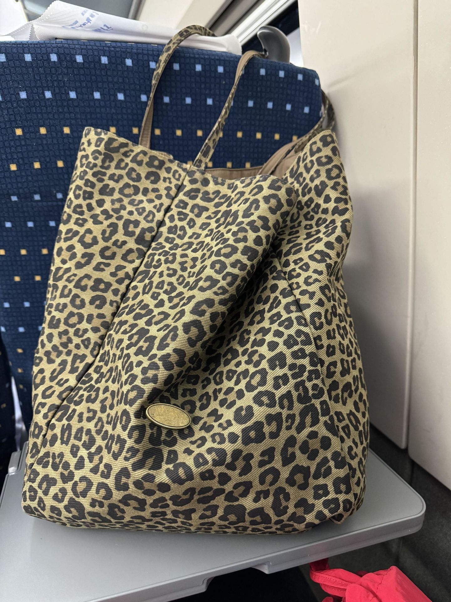 Casual Commuting Large Capacity Leopard Print 2025 New Autumn Winter Single Shoulder Tote Bag ddmymoon