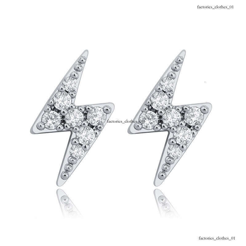 INS Lighing Zircon Hip-Hop Women's Earrings New Pure Sier Jewelry
