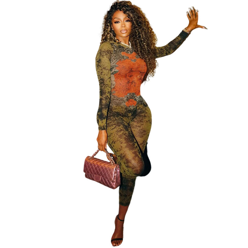 2025 Summer New Womens Fashion Printed Sexy Mesh High Waist Slim Fit Zipper Long Sleeve Jumpsuit