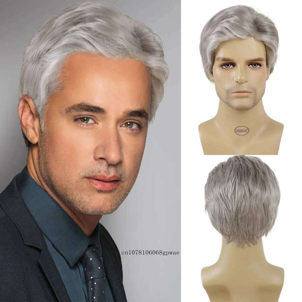 Old Man Synthetic Grey White Wigs for Men Grandpa Daily Party Cosplay Natural Straight Hair Replacement Wig Heat Resistant