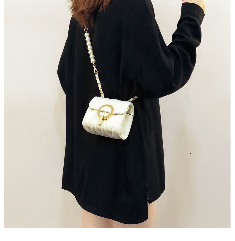 Free Shipping Designer Bag Mini Small Bag Women 2025 New Trendy Ins Fashion Korean Version Chain Shoulder Crossbody Bag Internet Celebrity Luxury Bag 