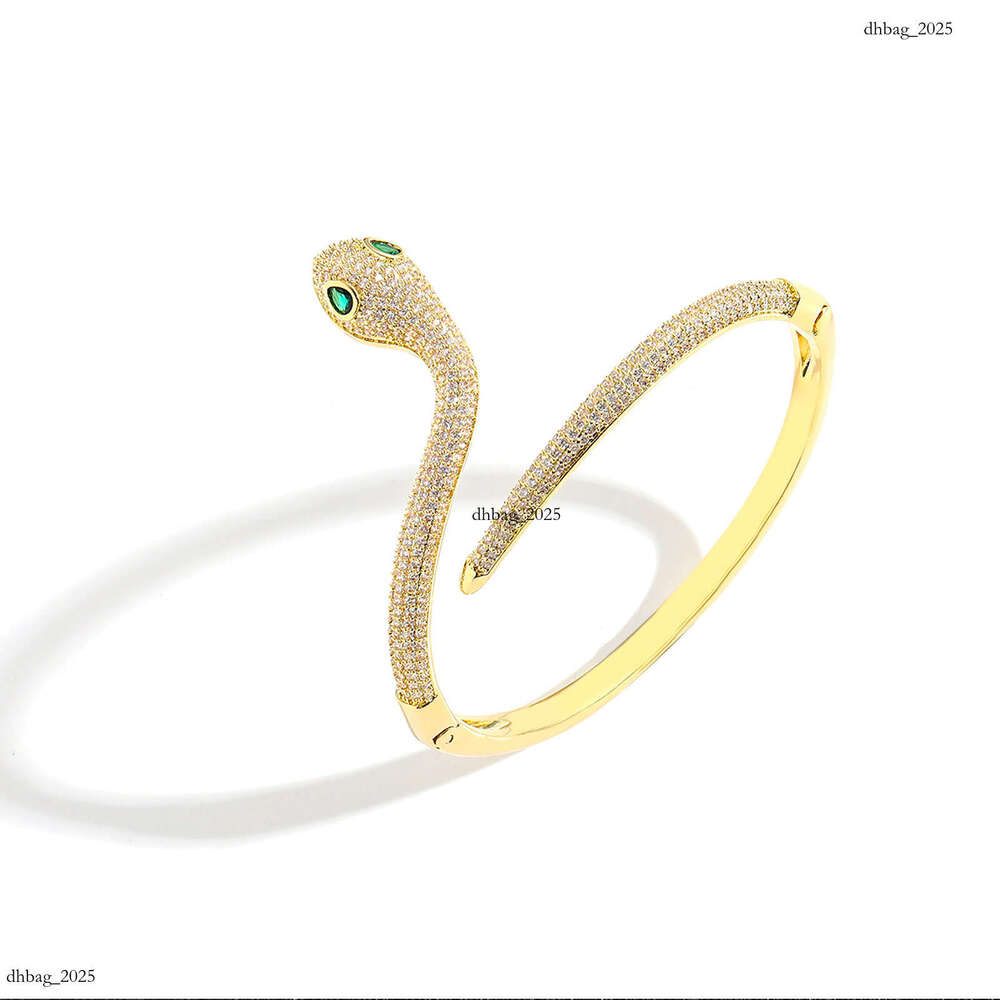 Ins New Snake-Shaped Hip-Hop Micro-Paved Zircon Niche Women's Design High-End Bracelet Trendy Brand Accessory