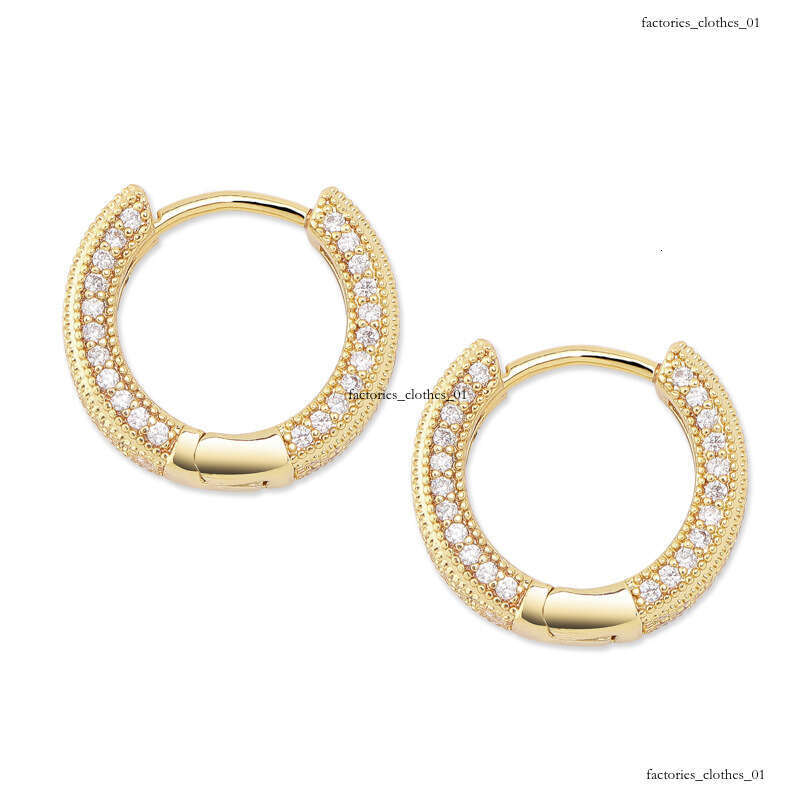 Sier Zircon Earrings Unisex Hip Hop Trendy Ear Jewelry Gold Australian Accessories