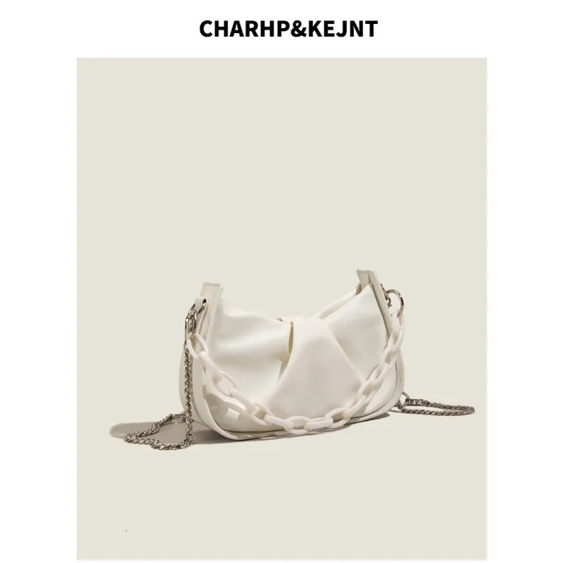This Year's Trend Summer Women's Pleated Cloud 2025 New Fashion French Niche Chain Bag ddmymoon