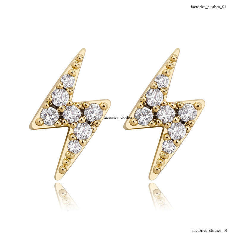 INS Lighing Zircon Hip-Hop Women's Earrings New Pure Sier Jewelry