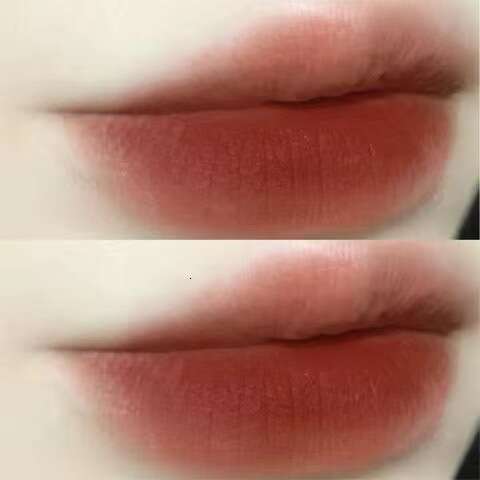DAIMANPU Internet Celebrity Style Chestnut Transparent Matte Velvet Orange Brown Lipstick High Brightening Lip Gloss Free shipping Free shipping