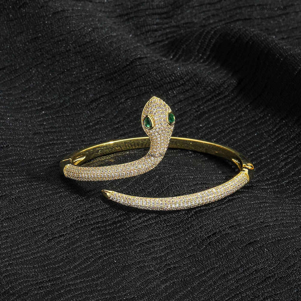 Ins New Snake-Shaped Hip-Hop Micro-Paved Zircon Niche Women's Design High-End Bracelet Trendy Brand Accessory