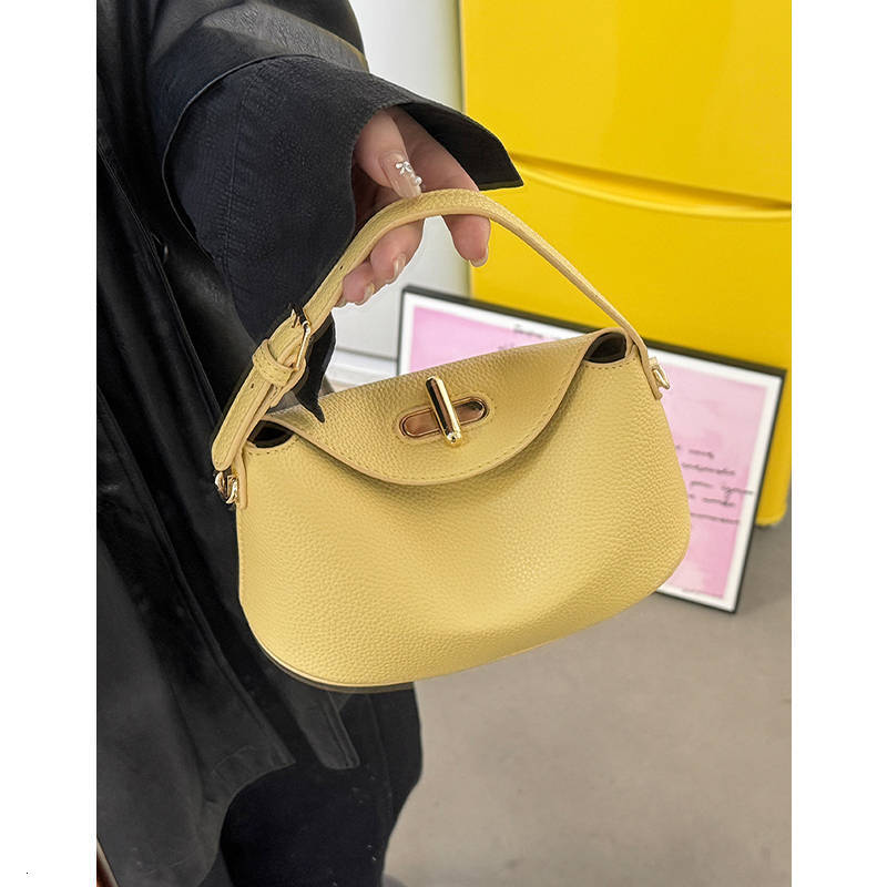 2025 New Multifunctional Niche Handbag Pillow Bag Fashionable Crossbody Bag Free Shipping Designer Luxury High-end Women's Handbag Free Shipping 