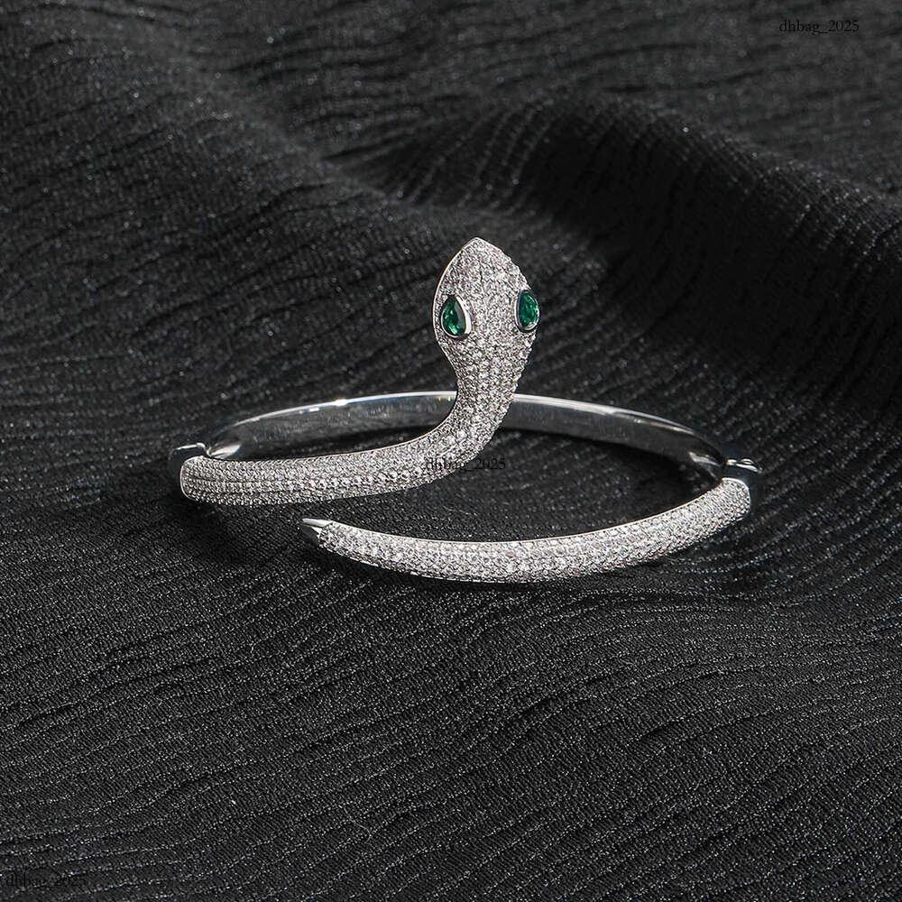 Ins New Snake-Shaped Hip-Hop Micro-Paved Zircon Niche Women's Design High-End Bracelet Trendy Brand Accessory