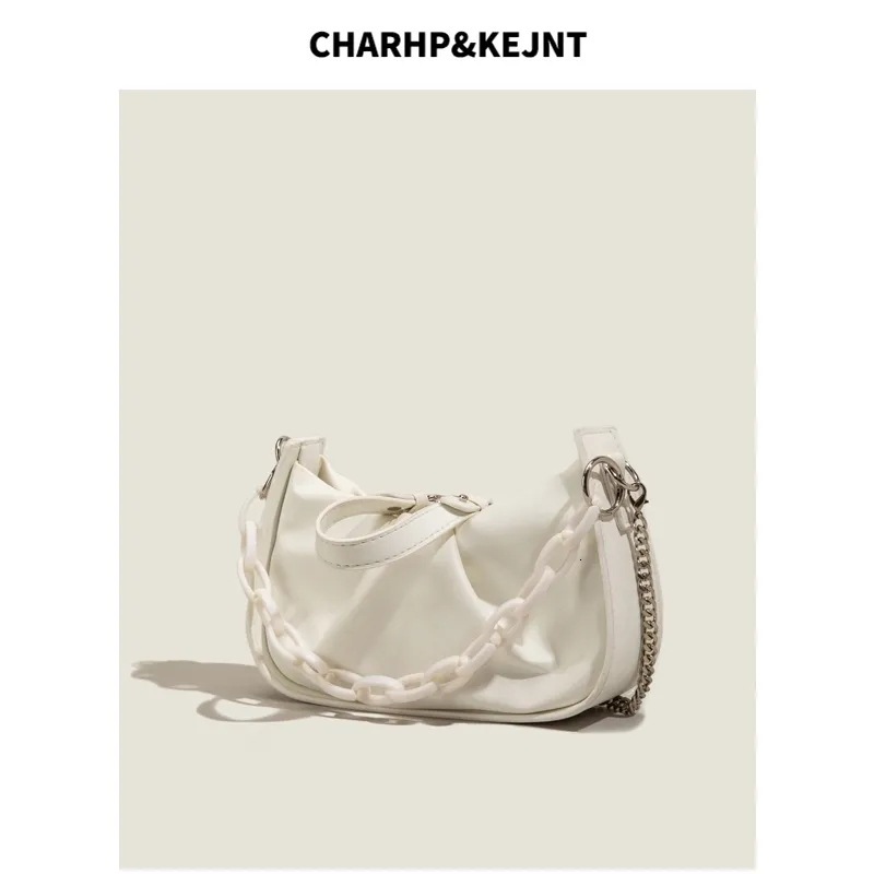 This Year's Trend Summer Women's Pleated Cloud 2025 New Fashion French Niche Chain Bag ddmymoon